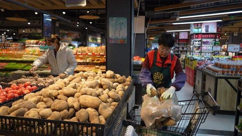 天祝東坪洋芋闖商超 供銷合作譜寫(xiě)薯類銷售新篇章